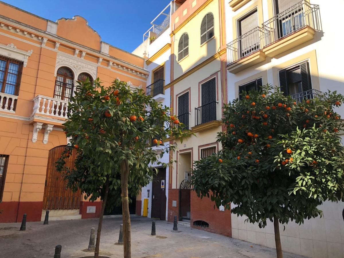 Holiday home Unique House - Private Spa&pool -stayinseville *