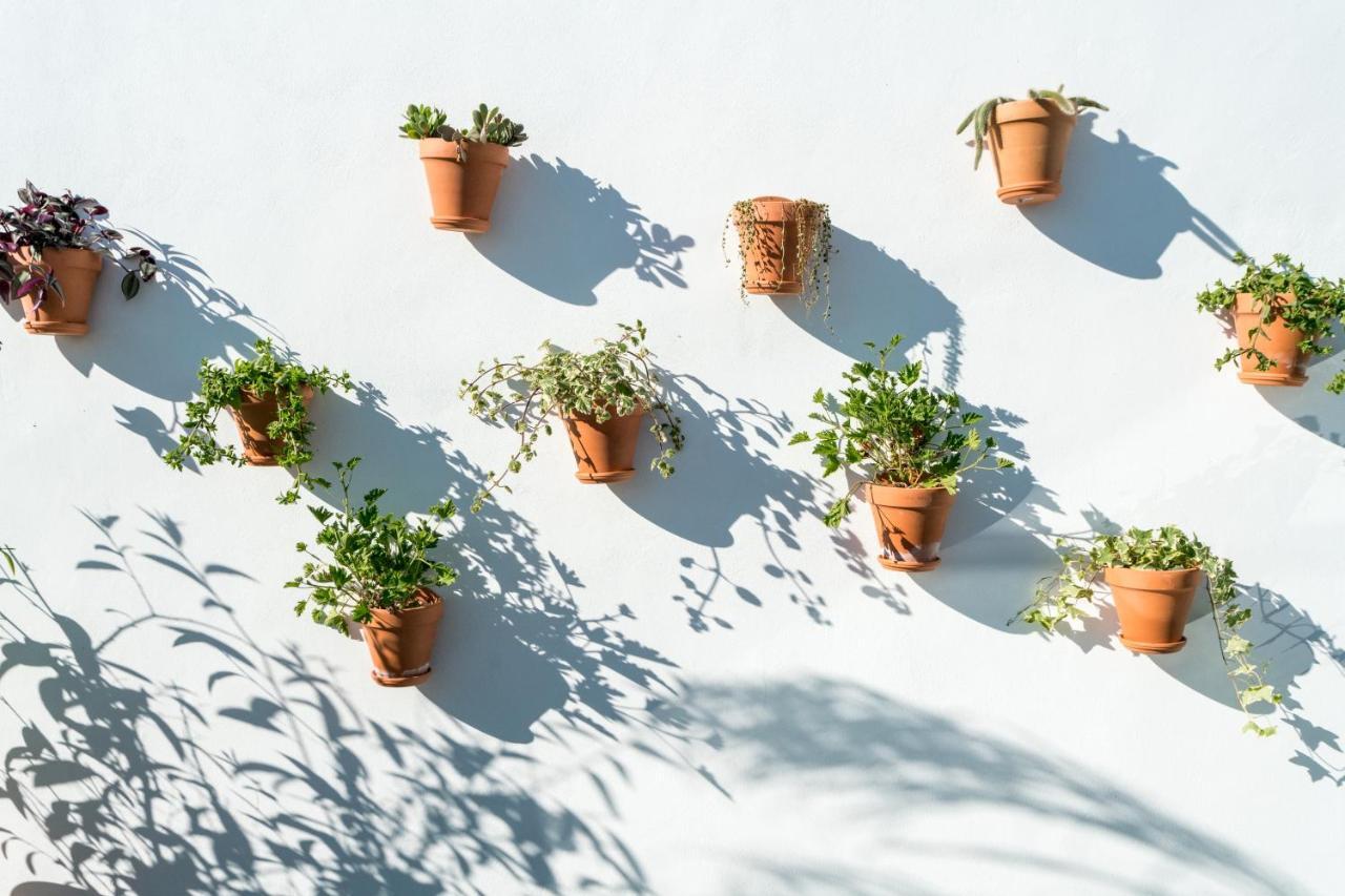 Unique House - Private Spa&pool -stayinseville * Seville